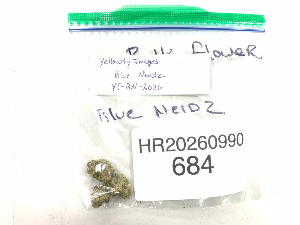 Blue Nerdz cannabis flower product image
