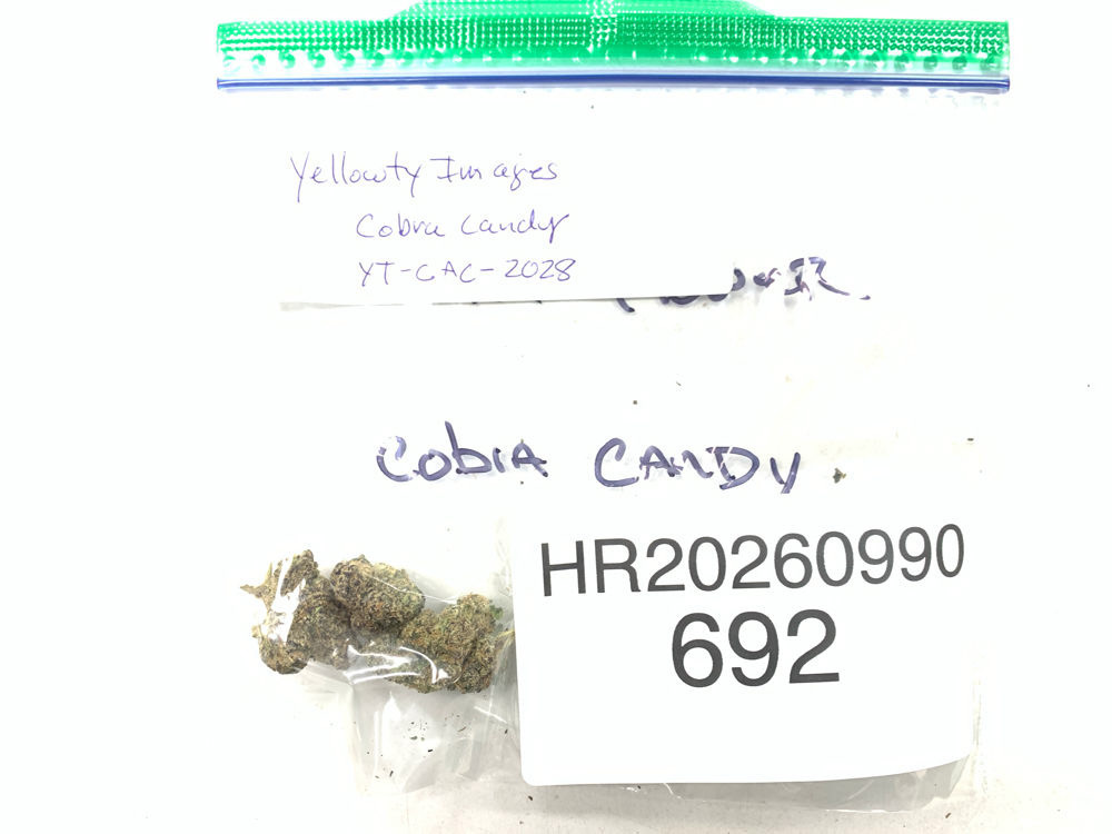 Cobra Candy cannabis flower product image