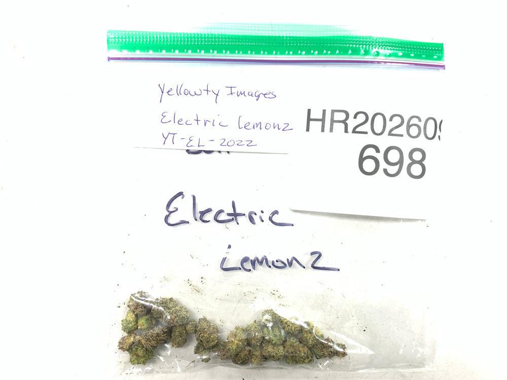 Electric Lemonz cannabis flower product image