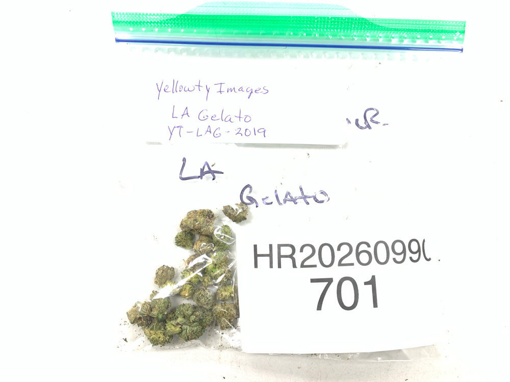 LA Gelato cannabis flower product image