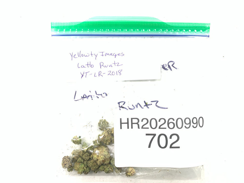 Latto Runtz cannabis flower product image