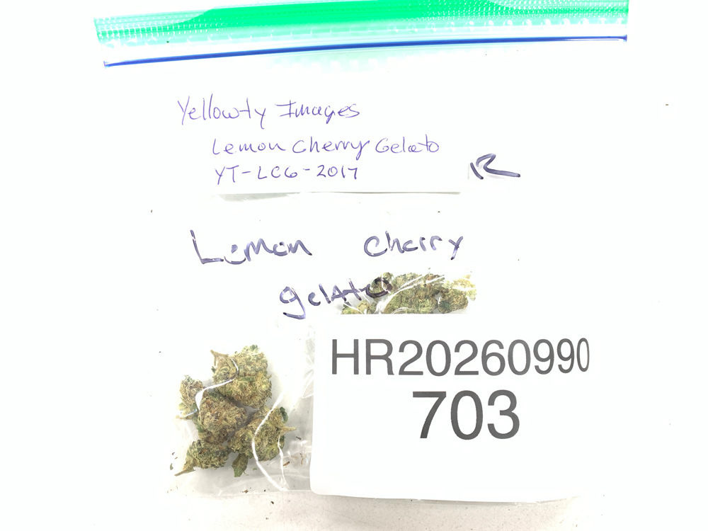 Lemon Cherry Gelato cannabis flower product image