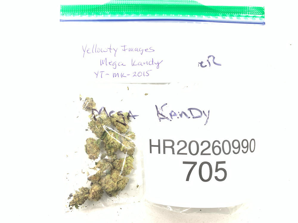 Mega Kandy cannabis flower product image