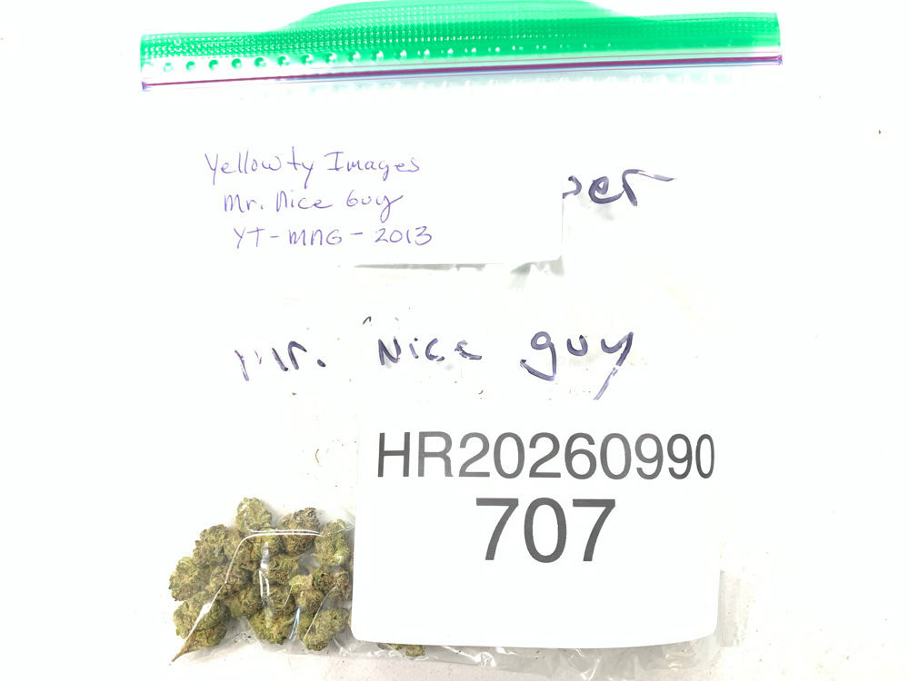Mr. Nice Guy cannabis flower product image