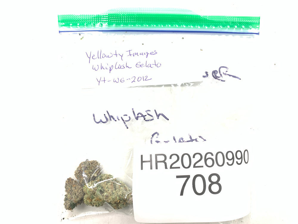 Whiplash Gelato cannabis flower product image