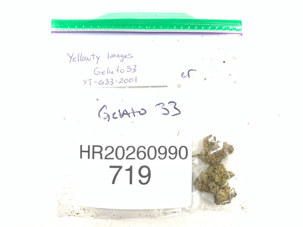 Gelato 33 cannabis flower product image